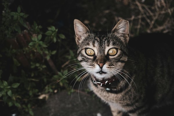 What role does sustainable practice play in the success of UK businesses?